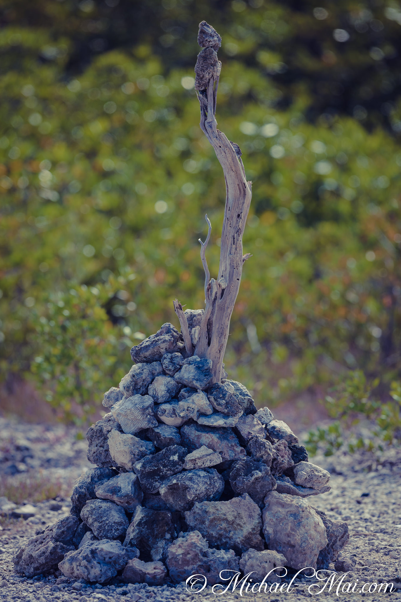 Intricate textures define a cairn built around a weathered, upward-reaching branch. | Garden Cove, Florida, United States