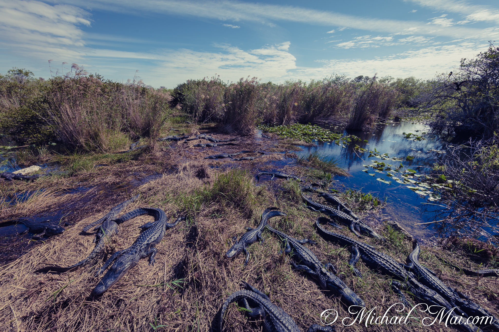 Everglades_KeyLargo_024