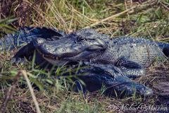 Everglades_KeyLargo_016