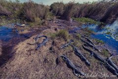 Everglades_KeyLargo_023