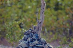 Everglades_KeyLargo_032