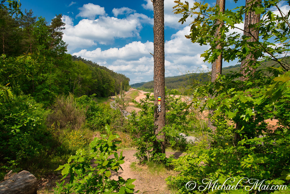 Dense forest frames a scenic path with colorful blazes overlooking a wide valley. | Hauenstein, Germany