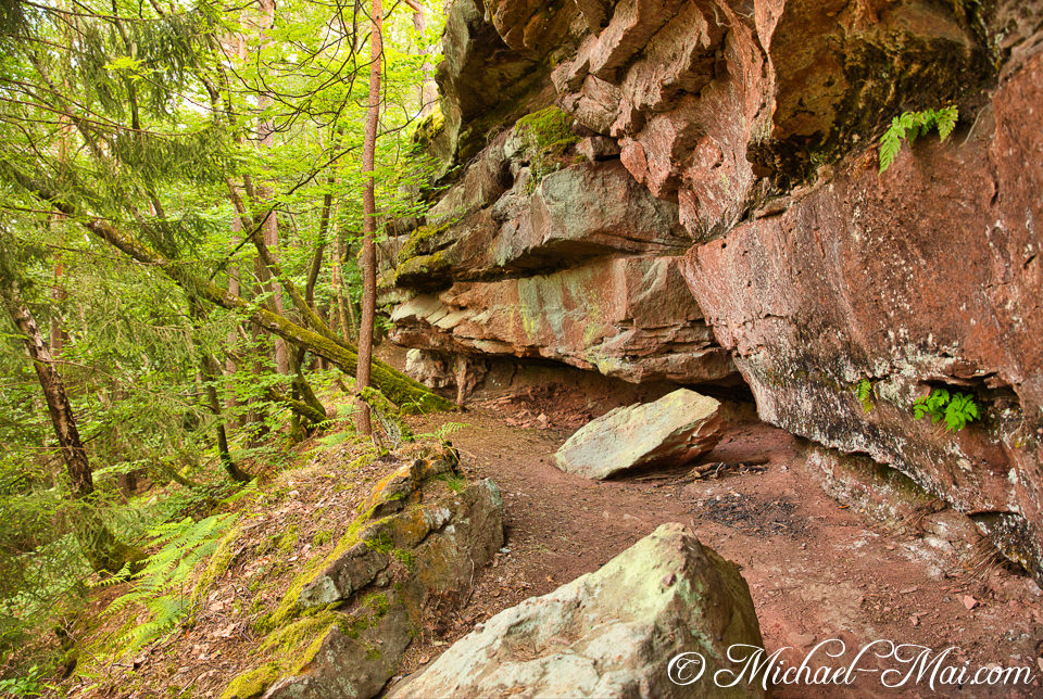 Textured red rock walls shelter a forest path, adorned with moss and ferns. | Hauenstein, Germany