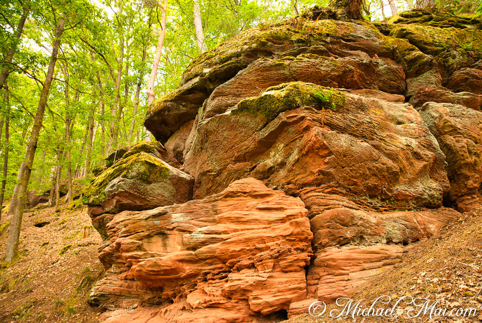 Moss-draped red rock formations punctuate the lush, green woodland. | Hauenstein, Germany