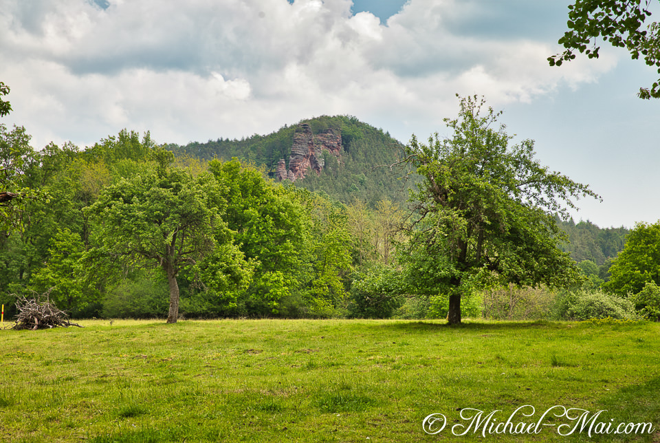 Verdant meadow stretches towards a backdrop of dense forest and dramatic red rock mountains. | Hauenstein, Germany