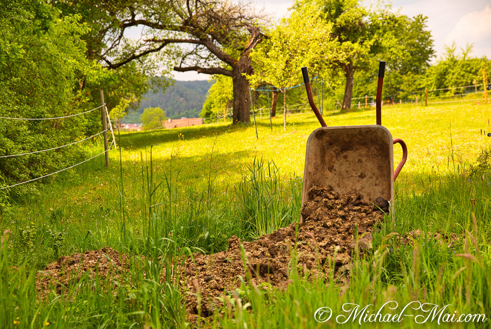 Fertilizer tumbles from a wheelbarrow onto vibrant spring grass in a sun-drenched field. | Hauenstein, Germany
