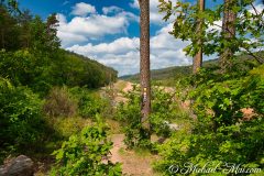 Hauensteiner Schusterpfad 2020