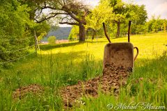 Hauensteiner Schusterpfad 2020