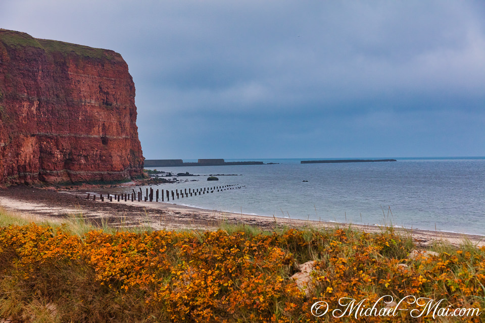 Vibrant orange bushes border the beach, leading to dramatic red cliffs and distant structures.