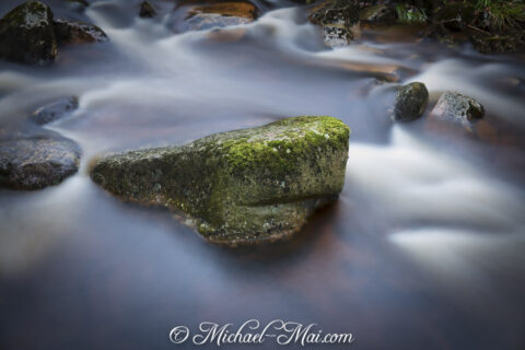 Vivid green moss crowns a robust stone, surrounded by swirling, ethereal waters.