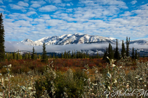 Swirling mists embrace distant snowy mountains, contrasting with the vibrant autumn foreground.