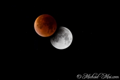 Bloodmoon_2015_041