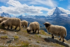 Zermatt_2017_461_Luminar-edit