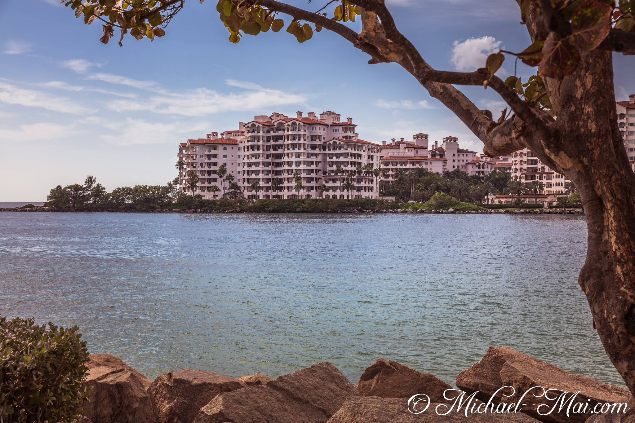Branch and rugged rocks frame ornate buildings overlooking the sparkling bay waters. | Miami Beach, Florida, United States