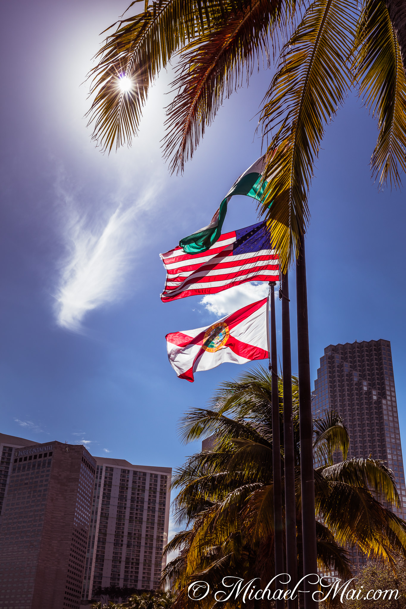 Waving flags catch sunlight above palm fronds and city skyline. | Miami, Florida, United States