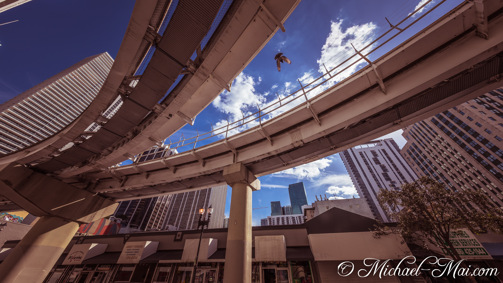 A bird soars between dynamic elevated tracks and towering city buildings. | Miami, Florida, United States