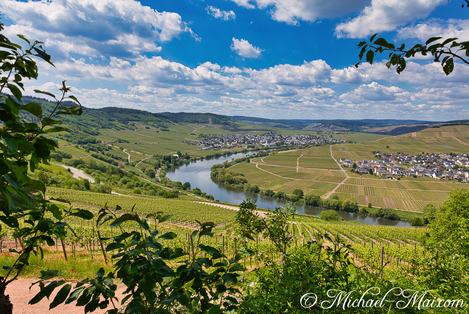 Overlooking the verdant valley, a river meanders past villages amid patterned vineyards.