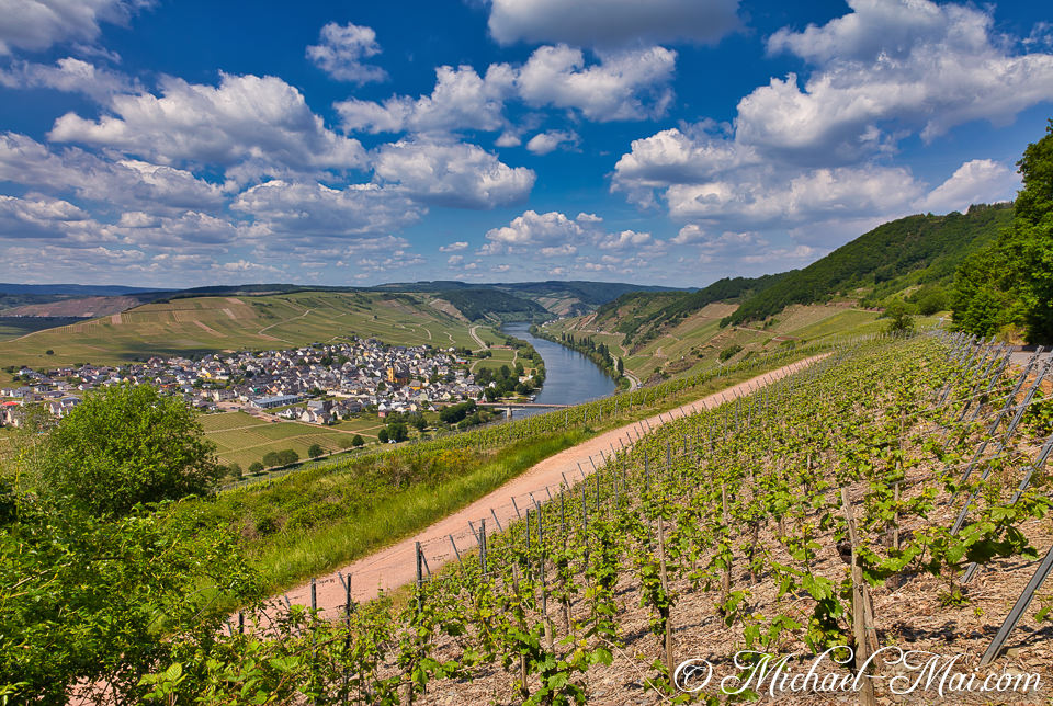 Vibrant vineyards sweep down to the sparkling river, embracing a village under cloudy skies.