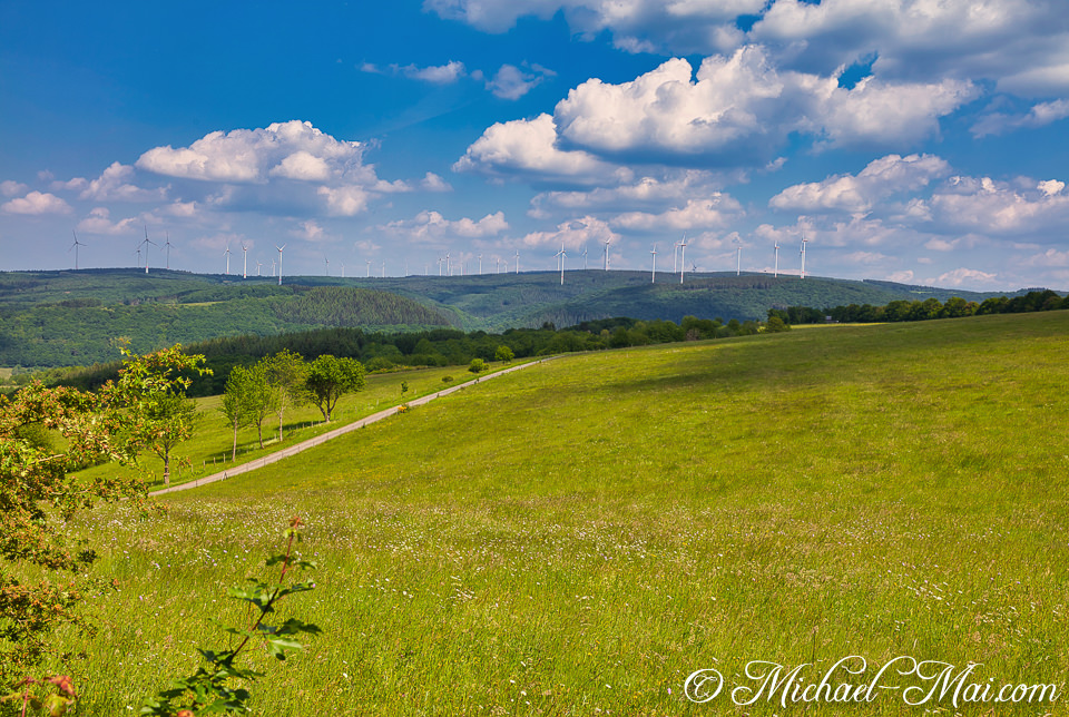 Sweeping green hills meet a distant horizon dotted with numerous wind turbines under vast skies.