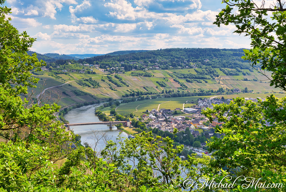 River winds through a valley of vineyards and a town, framed by lush trees.