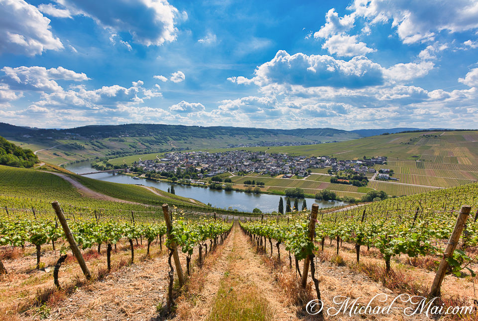 Lush vineyards tumble down a hillside, framing a curving river and picturesque town below.