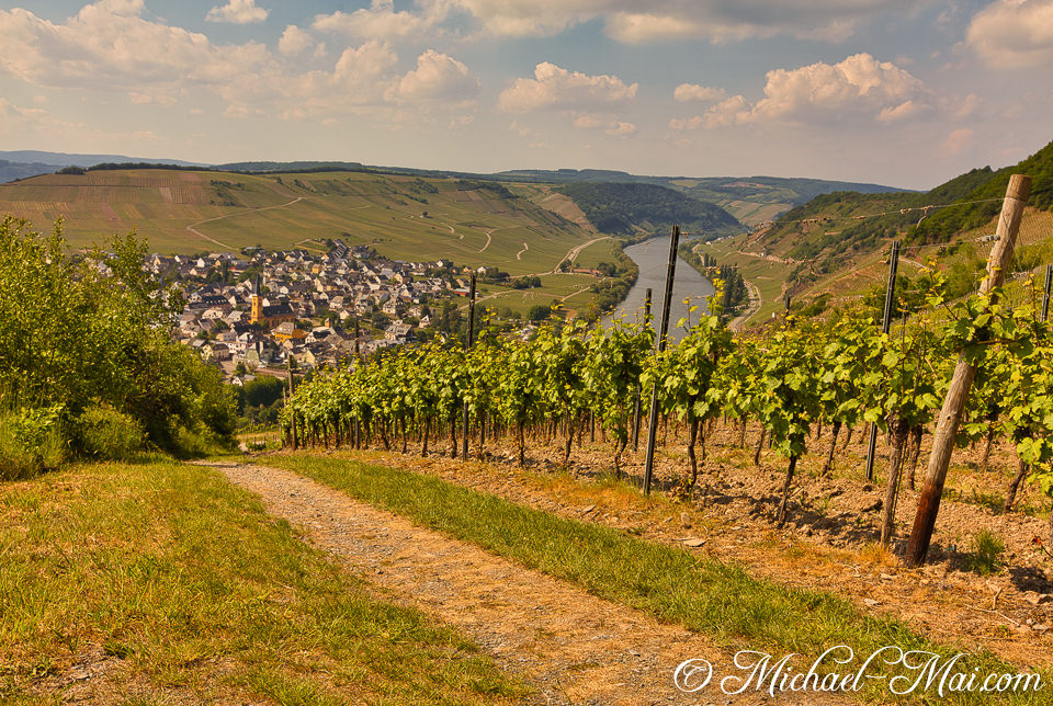 Vista from vineyards showcases a German village nestled by the curving Mosel River.