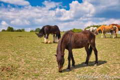 Moselsteig Seitensprung Moselachter 2020 Moselsteig Seitensprung Moselachter 2020