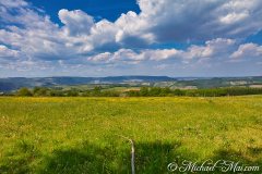 Moselsteig Seitensprung Moselachter 2020