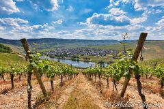 Moselsteig Seitensprung Moselachter 2020