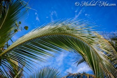 Sanibel Island, Florida (USA) 2018