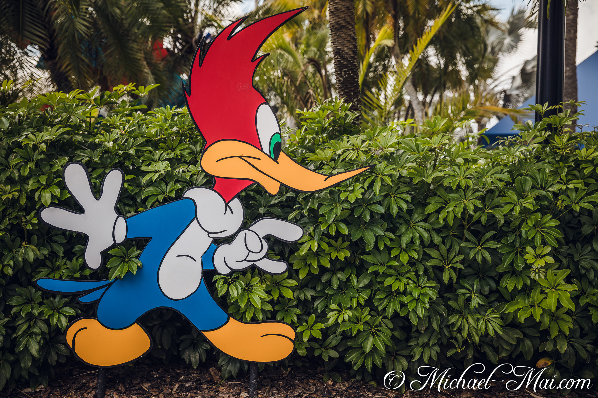 Pointing ahead, Woody Woodpecker's vibrant cutout adds whimsy to the lush hedge. | Orlando, Florida, United States