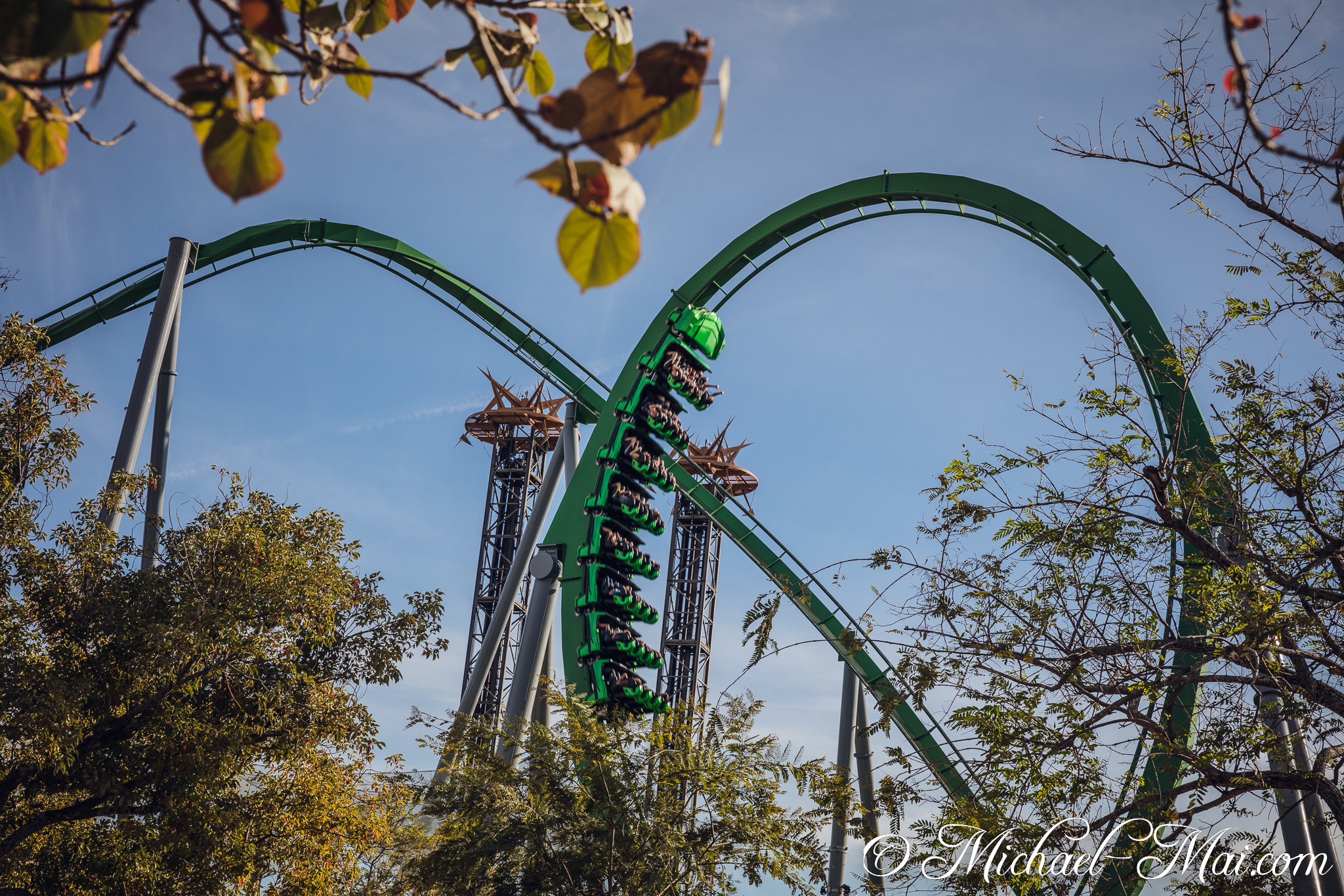 Autumn leaves frame the upside-down coaster train twisting through its green loop. | Orlando, Florida, United States